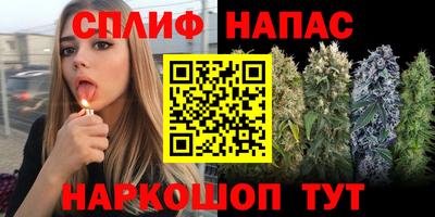 ECSTASY Тверь